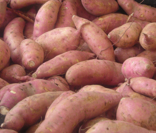 Sweet Potatoes at the Farmer's Market