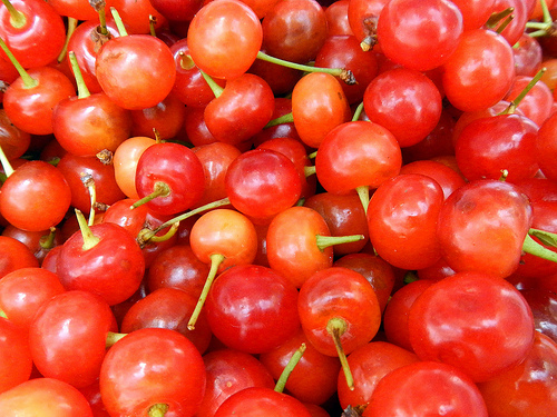 Image of Fresh Cherries