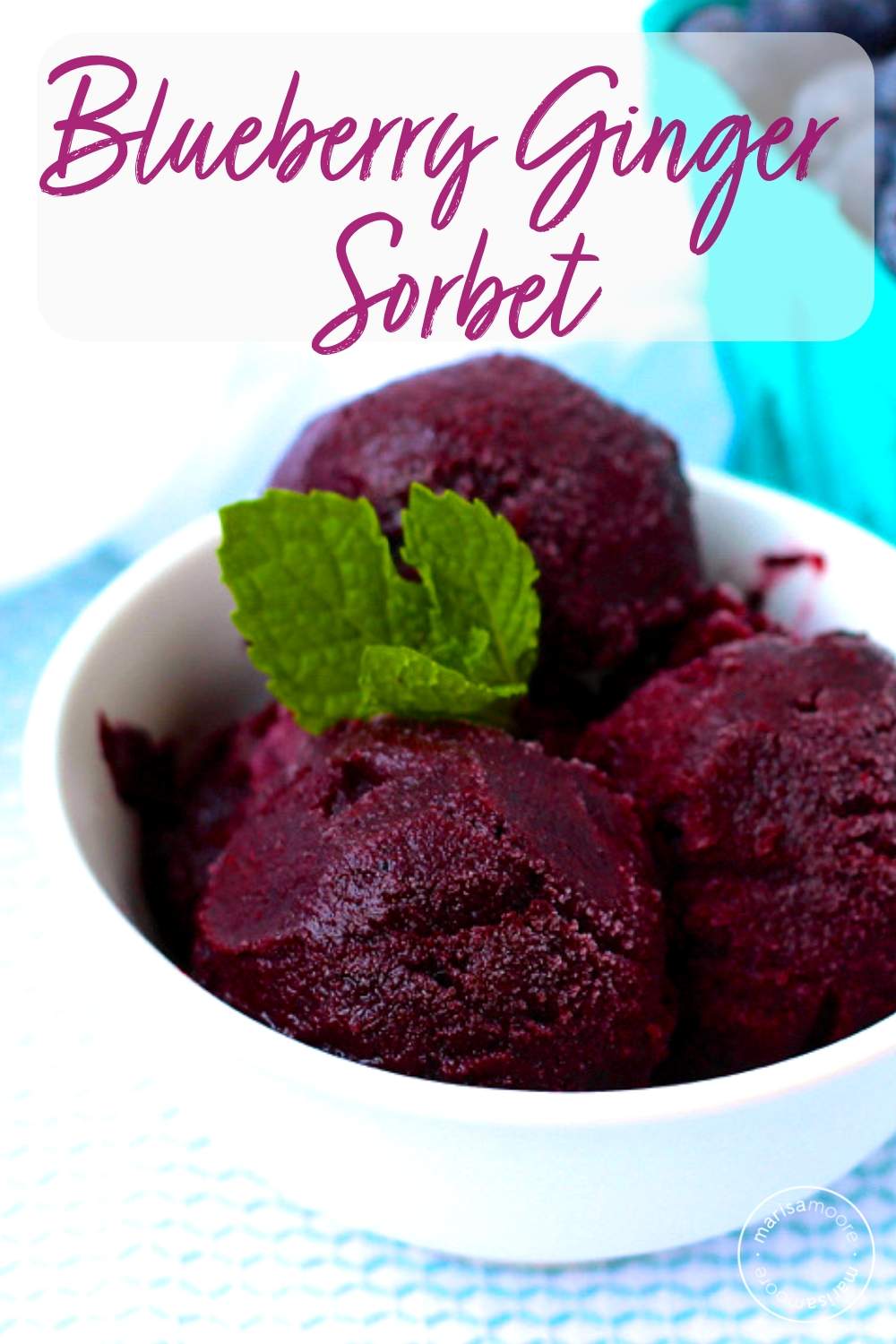 blueberry sorbet in a bowl
