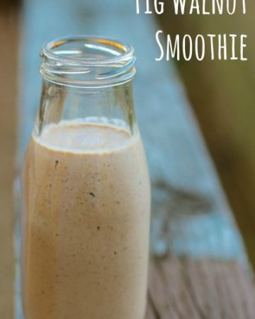 Fig and Walnut Smoothie with Probiotics on marisamoore.com
