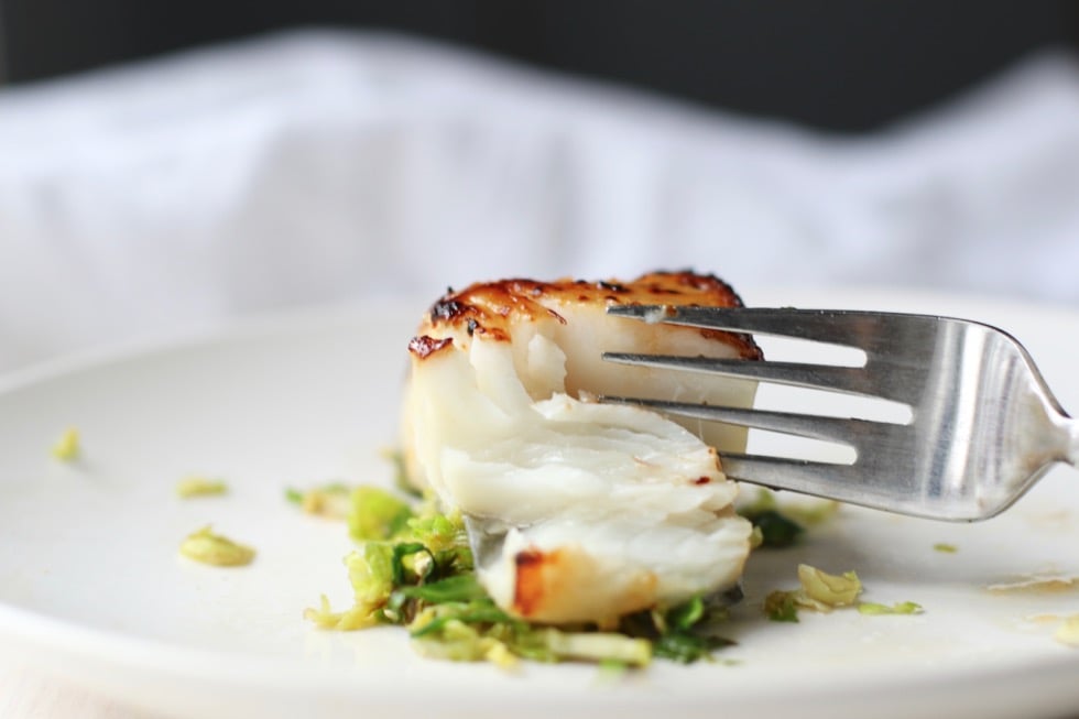 broiled-black-cod-recipe