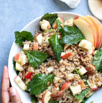 Apple Pecan Farro Salad in bowl with hand on side