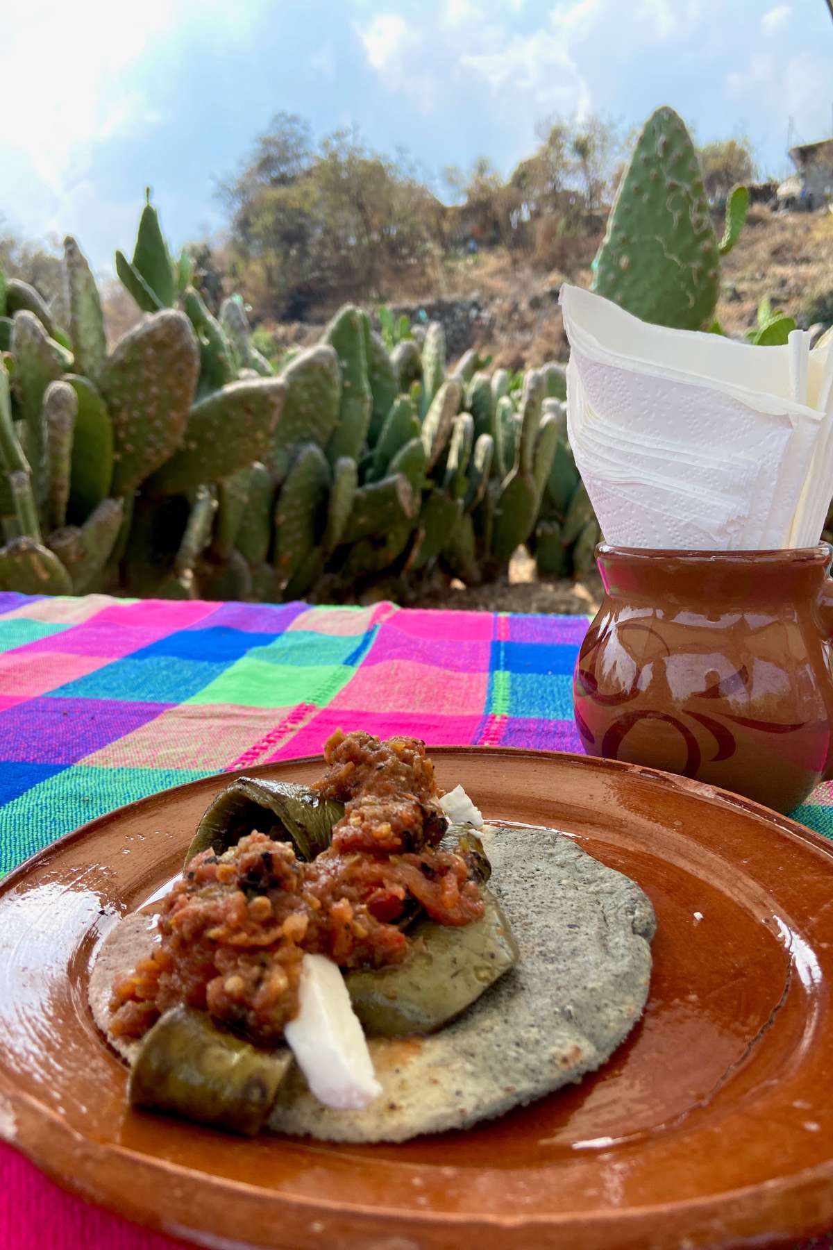 Nopal taco with fresh cheese and salsa on an earthen clay plate.