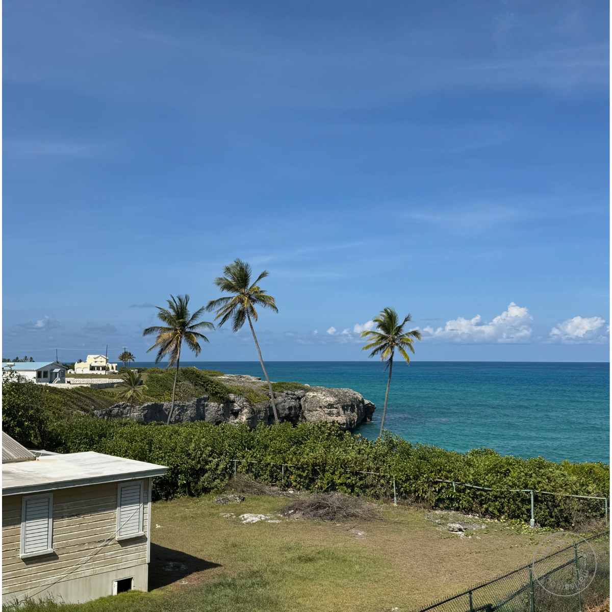 View of the Barbados seaside with palm trees and a small white building under a blue sky.